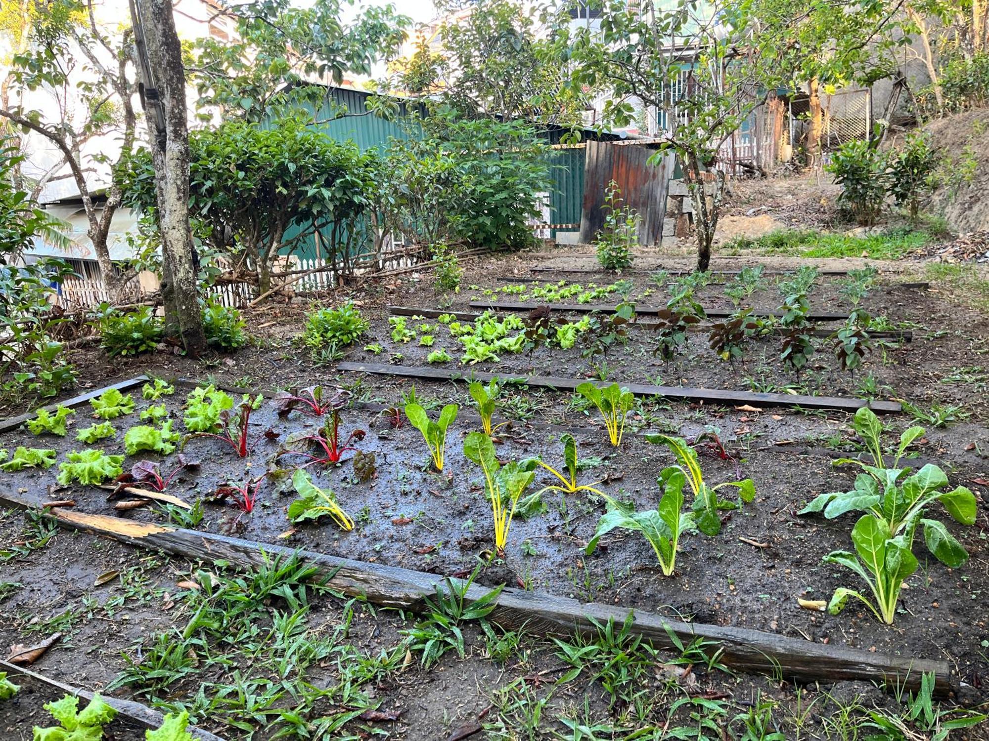 Đà Lạt TEEPEE Homestay Esterno foto