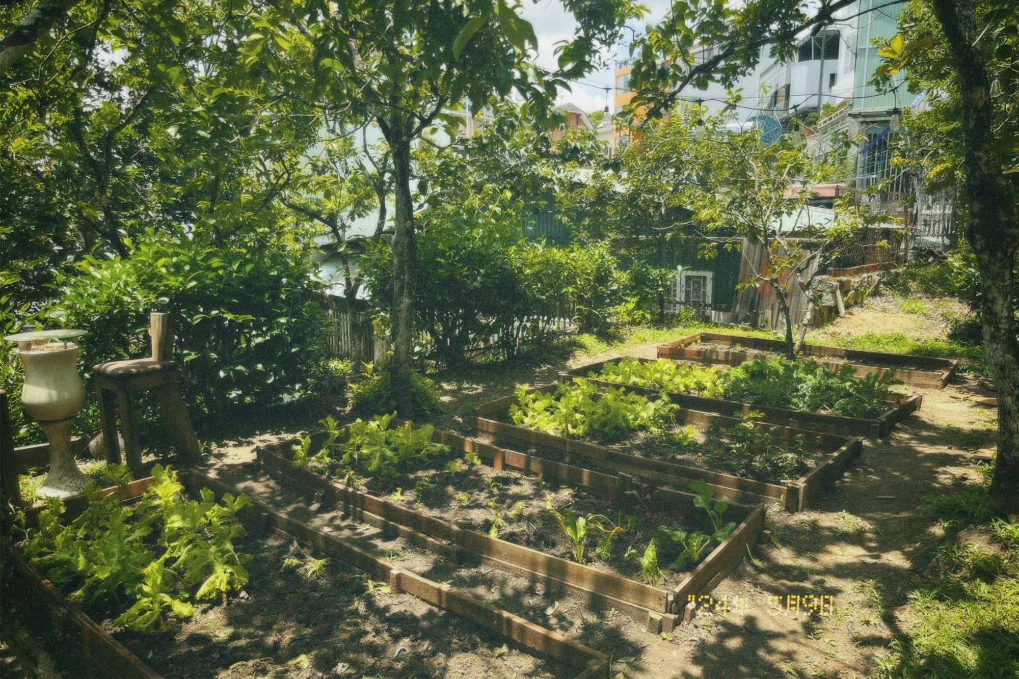Đà Lạt TEEPEE Homestay Esterno foto